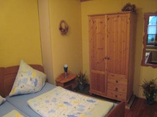 Mansion in Morbach near Ortelsbruch Hills, cleaning included - Riedenburg - 1