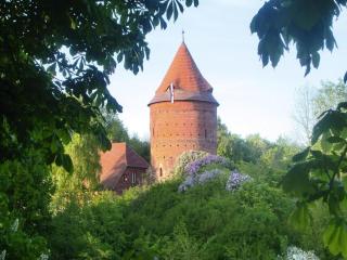Apartment in Plau am See near Lake Plauer, cleaning included - Plau am See - 3