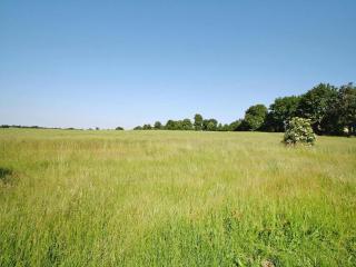 Apartment in Zahrensdorf near three lakes, cleaning included - Zahrensdorf - 3