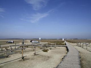 Apartment in St Peter-Bad near Spa Forest, cleaning included - St. Peter-Ording - 4