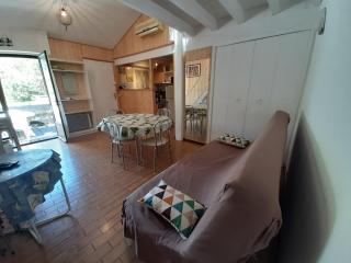 Maison moderne entre forêt et océan, avec jardin et terrasse. - FR-1-239-425 - Seignosse - 1