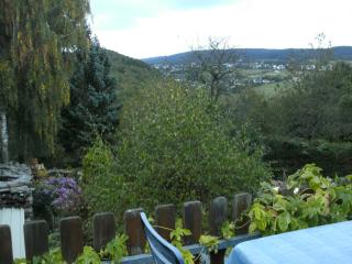 Apartment in Morbach near Ski Lift, cleaning included - Riedenburg - 5
