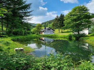 Chalet in Winterberg near Ski Slopes, cleaning included - Winterberg - 0