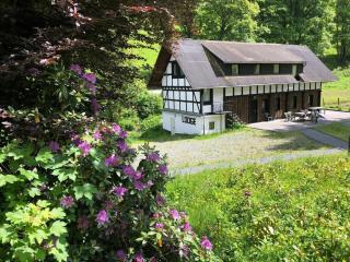 Chalet in Winterberg near Ski Slopes, cleaning included - Winterberg - 1