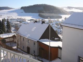 Apartment in Grevenstein near Ski Lift, cleaning included - Grevenstein - 9
