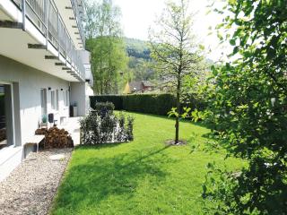 Apartment in Bollendorf with Garden, cleaning included - Bollendorf - 9