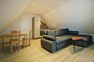 Apartment in Krakow by Lake Krakow, cleaning included - Krakow am See - 8