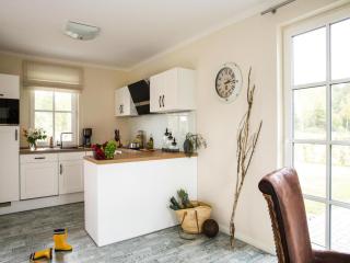 Luxury House Bodstedt with Sauna near Lagoon, cleaning included - Fuhlendorf - 4