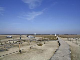 Apartment in St Peter-Ording by North Sea, cleaning included - St. Peter-Ording - 2
