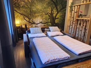 Renoviertes Studio in Winterberg, cleaning included - 4