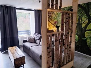 Studio in Winterberg near Ski Slopes, cleaning included - Winterberg - 3