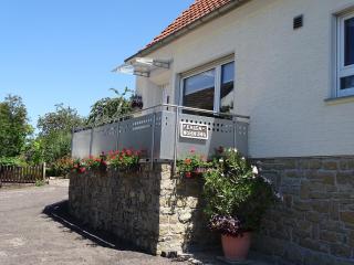 Holiday apartment near the Moselle with terrace, cleaning included - Wehr - 5