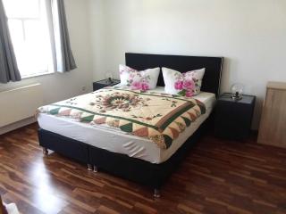 Property in Elbingerode, cleaning included - Elbingerode - 8