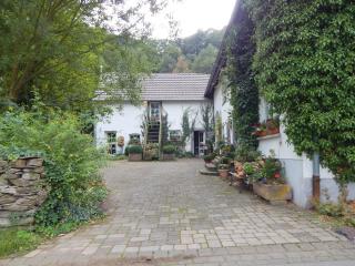 Apartment in Immerath near Vulkaneifel Spa, cleaning included - Immerath - 4