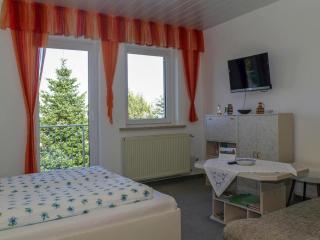 Ferienwohnung Basteiblick in Pirna, cleaning included - Pirna - 3