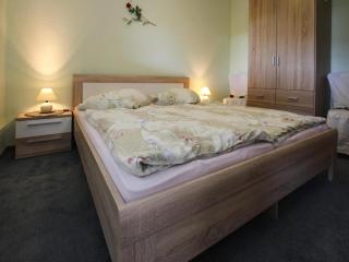 Doppelhaushaelfte, Plau am See, cleaning included - Plau am See - 8