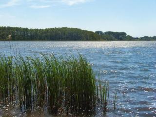 Doppelhaushaelfte, Plau am See, cleaning included - Plau am See - 2