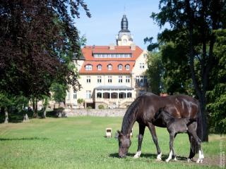 Holiday home in Wendorf near the sea, cleaning included - Wendorf - 2