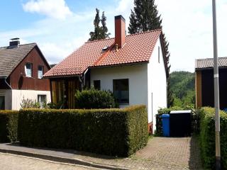 Ferienhaus , Wieda, cleaning included - Wieda - 9