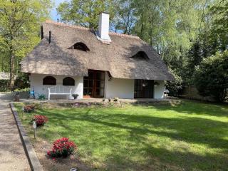 Holiday Home in Uelsen near Forest & Cycling, cleaning included - Uelsen - 5