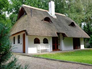 Holiday Home in Uelsen near Forest & Cycling, cleaning included - Uelsen - 3