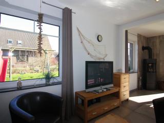 Holiday Home by North Sea with Infrared Cabin, cleaning included - Friedrichskoog-Spitze - 1