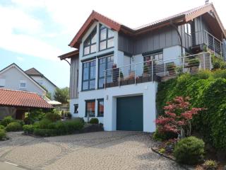 Apartment in Austria with Idyllic Garden, cleaning included - Daun - 9