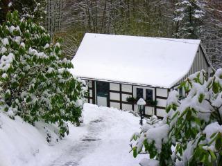 Holiday Home in Sauerland near Winterberg Skiing, cleaning included - Schmallenberg - 3
