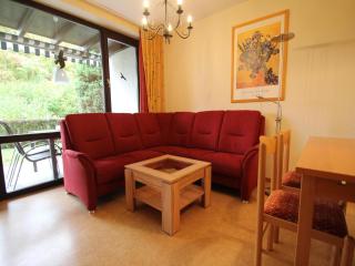 Ferienwohnung im Haus Schiefertal, Wieda, cleaning included - Wieda - 8
