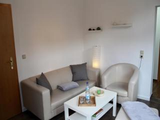 Classic holiday home in the Harz Mountains, cleaning included - Ilsenburg - 0
