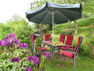 Holiday Home in Langewiesen, cleaning included - Langewiesen - 4