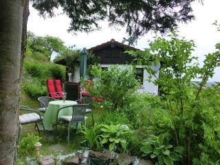 Holiday Home in Langewiesen, cleaning included - Langewiesen - 1
