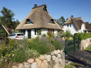 Chalet by Lagoon with Sauna and Fireplace, cleaning included - Fuhlendorf - 0