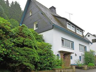 Apartment near Willingen for Winter Sports, cleaning included - Willingen - 5
