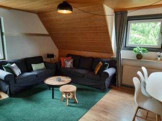 Apartment near Willingen for Winter Sports, cleaning included - Willingen - 0