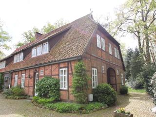 Wohnung in Dorfmark nahe Lüneburger Heide, cleaning included - Dorfmark - 9