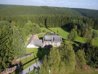 Holiday House in Monschau near Forest, cleaning included - Alzen - 9
