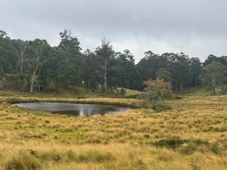 Smokey Cape Retreat - - 8