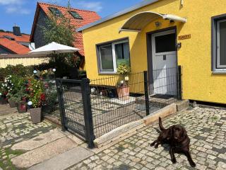Modern bungalow in Wernigerode with terrace, cleaning included - Hasserode - 9