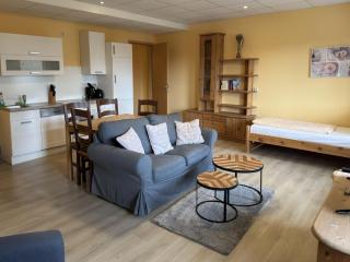 Apartment by Lake Schwerin with Forest Views, cleaning included - Schwerin - 3