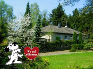 Flat at Diemelsee near WillingenWinterberg, cleaning included - Diemelsee - 9