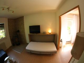 Flat at Diemelsee near WillingenWinterberg, cleaning included - Diemelsee - 1