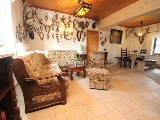Rustic House by Lake Krakow & Nature Trails, cleaning included - Glave - 3