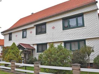 Holiday flat in Ernstroda near a ski resort , cleaning included - Friedrichroda - 0