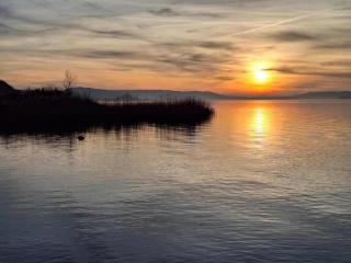 Bungalow near Kronenburger See with Sauna, cleaning included - Hallschlag - 7