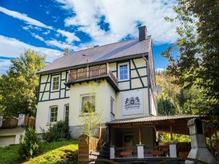 Holiday home in Willingen near the ski resort, cleaning included - Willingen - 9