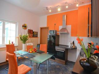 Flat in Langewiesen near Ski Trails, cleaning included - Langewiesen - 3