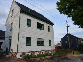 Flat in Langewiesen near Ski Trails, cleaning included - Langewiesen - 0