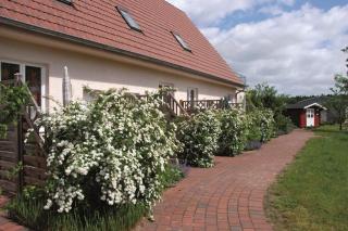 Apartment by Lake Müritz with Marina Access, cleaning included - Buchholz - 0