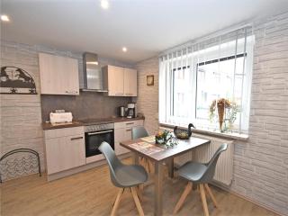 Holiday flat in Ernstroda near a ski resort , cleaning included - Friedrichroda - 5